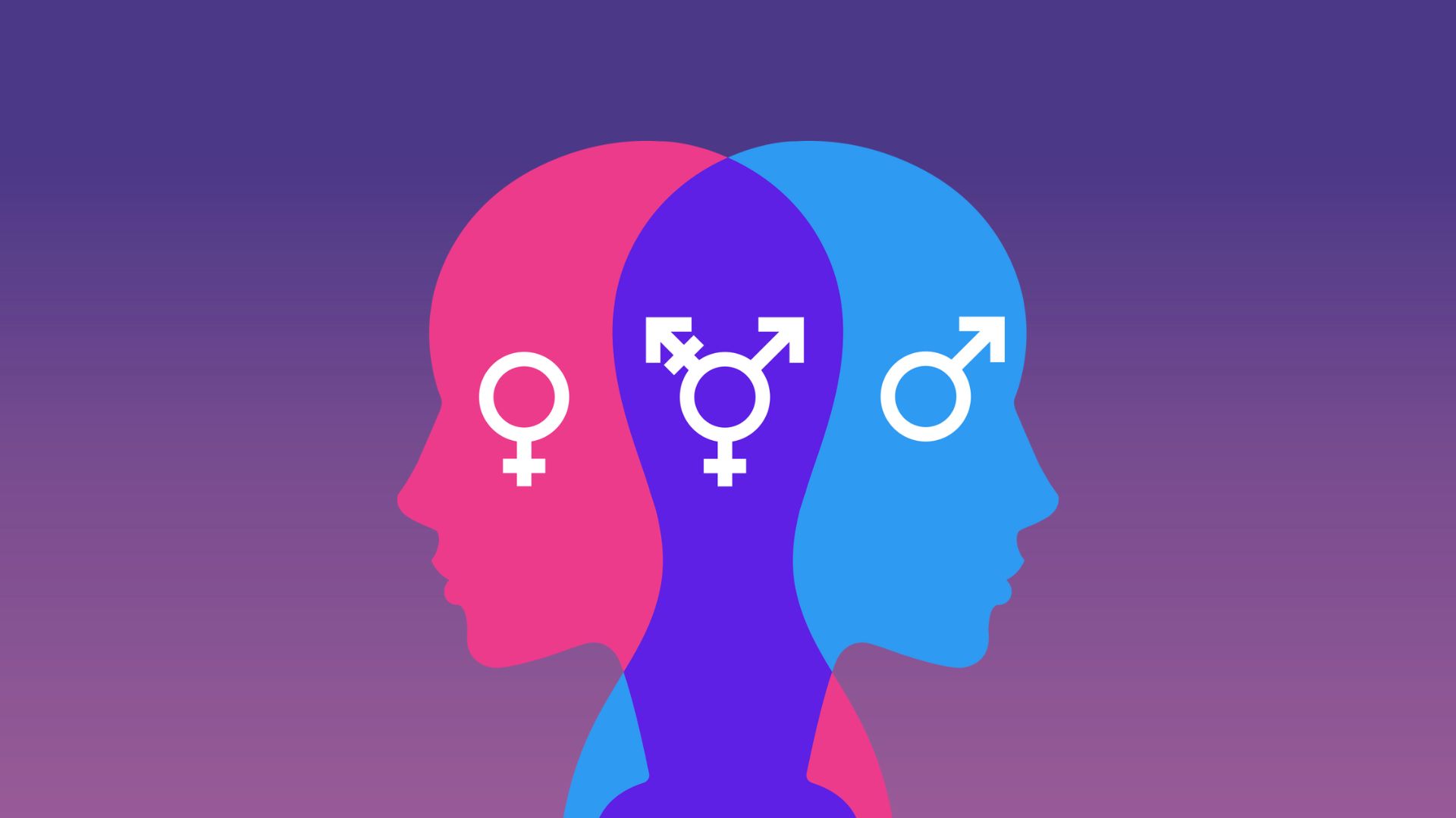 why-gender-and-sexuality-self-identifiers-matter-and-their-place-within